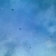 Image for article titled Rare Color Film And Photos Cast D-Day In A Completely New Light